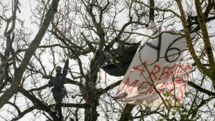 Entrave au chantier de l'A69: 16 opposants condamnés à des amendes avec sursis