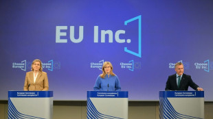 La UE presenta un nuevo modelo jur&iacute;dico para emprendedores
