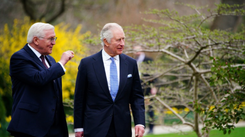 Steinmeier w&uuml;rdigt Partnerschaft zwischen Deutschland und Gro&szlig;britannien