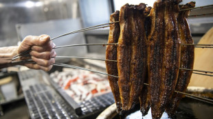 Eel-eating Japan opposes EU call for more protection