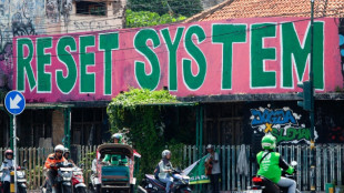'Pink and green' protests call for a reset in Indonesia