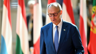 Bundeskanzler Merz trifft in Irland Premierminister Martin