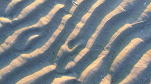 In un lago africano la storia del campo magnetico terrestre