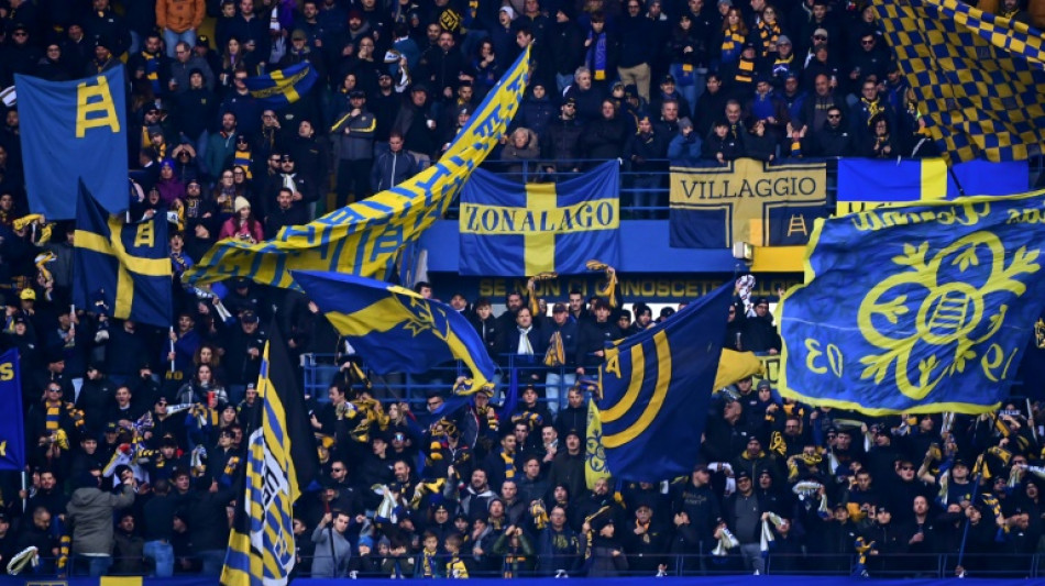 Hellas Verona pasa a manos de un fondo de inversi&oacute;n estadounidense