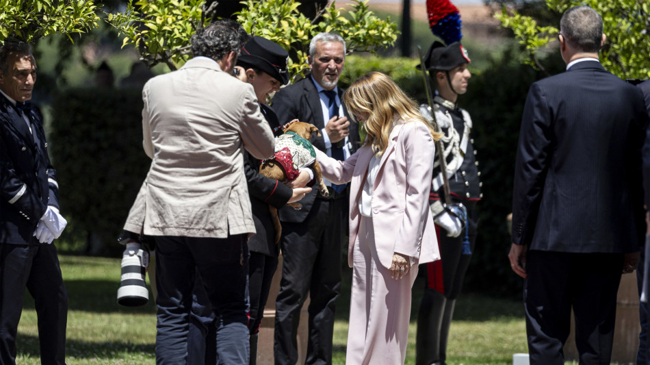 Per Meloni foto ricordo con Briciola, la cagnetta mascotte dei carabinieri
