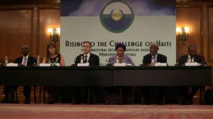 Blinken pushes to finalize lagging Haiti force at G20