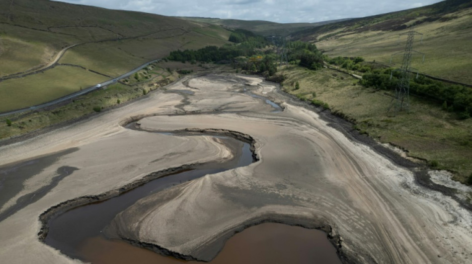 Le nord de l’Europe frappé par une sécheresse exceptionnelle