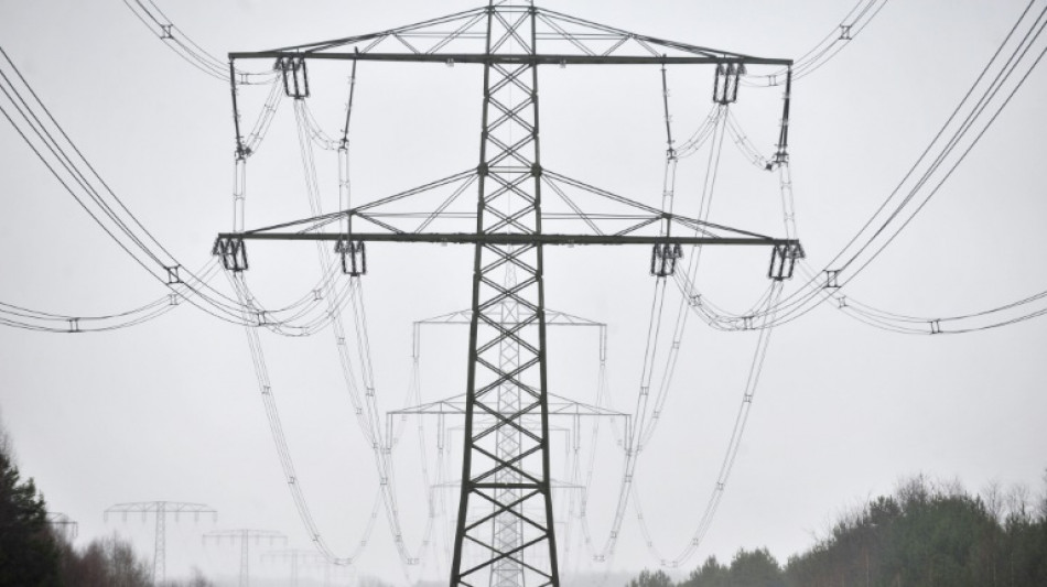 Durchsuchungen nach Stromnetz-Anschlag in Berlin