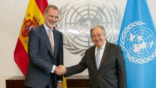 El rey Felipe VI se re&uacute;ne con el jefe de la ONU en Nueva York