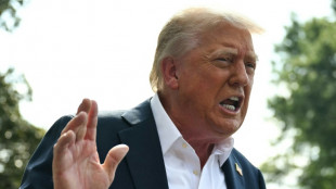 Droits de douane am&eacute;ricains: un impact diff&eacute;rent d'un pays europ&eacute;en &agrave; l'autre