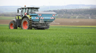 La loi d'urgence agricole s'appr&ecirc;te &agrave; passer un premier cap &agrave; l'Assembl&eacute;e