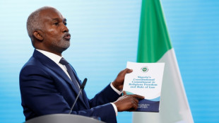 Le Nigeria répond à Trump qu'il ne tolère aucune persécution religieuse
