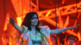 Bjork propone festivales de m&uacute;sica a bordo de cruceros con energ&iacute;a solar