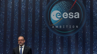 El jefe de la Agencia Espacial Europea promete "una transformaci&oacute;n" del sector