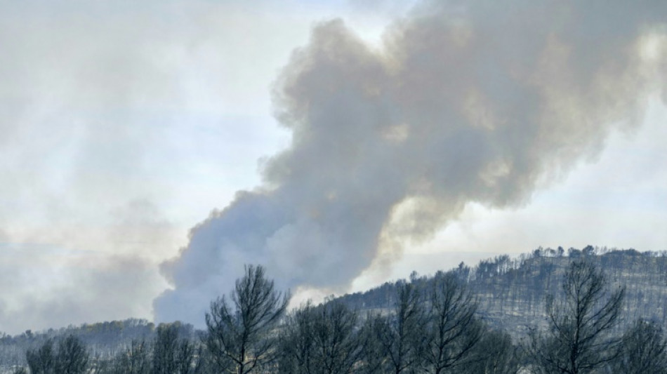 Un muerto y nueve heridos en un gran incendio forestal en Francia