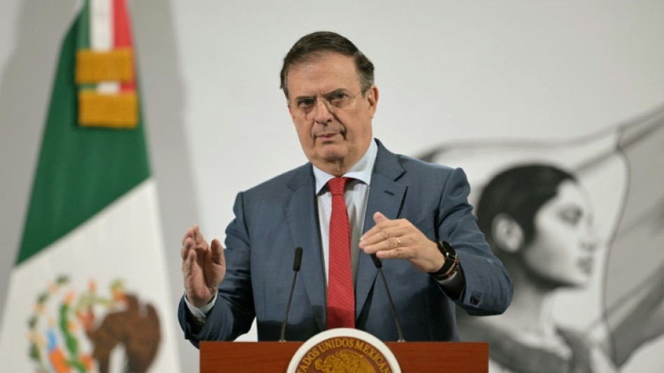 Invertir&aacute;n 3.700 millones de d&oacute;lares para una "ciudad digital" y una planta de fertilizantes en M&eacute;xico