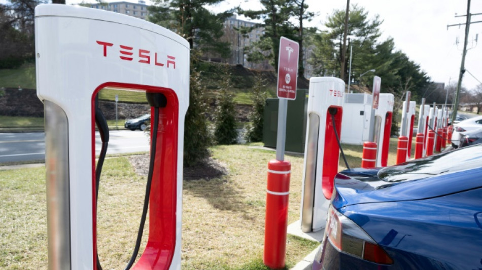 Los rivales de Tesla buscan sus cargadores de autos el&eacute;ctricos