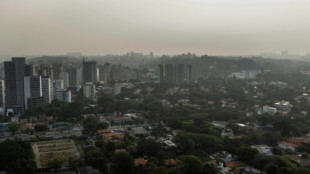 El humo de fuegos en la Amazonía alcanza grandes ciudades de Brasil y se expande por el continente