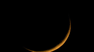 Nave espacial privada de EEUU despega hacia la Luna, seg&uacute;n transmisi&oacute;n en vivo