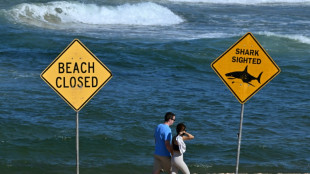 Australie: le surfeur probablement tué par un grand requin blanc, selon des experts