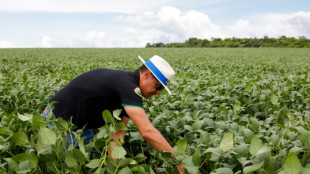 Natural pesticides gain ground in 'agri-tox' capital Brazil