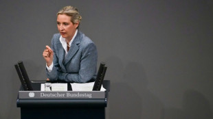 Weidel: AfD-Bundestagsfraktion wird weiterhin ihre Rechte einfordern