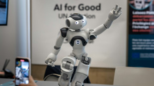 L'entreprise Aldebaran, connue pour ses robots humanoïdes, en liquidation judiciaire