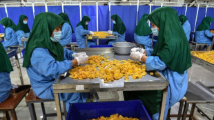 Women pushed back to Afghanistan pin hopes on rare private sector jobs