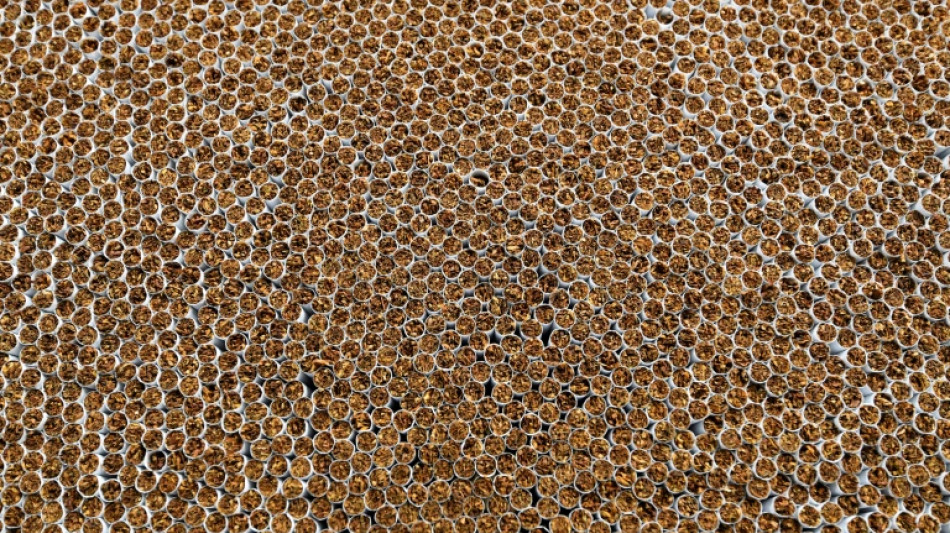 Zoll entdeckt in D&uuml;sseldorf illegale Zigarettenfabrik "industriellen Ausma&szlig;es"