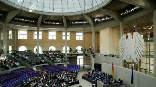 Pal&auml;stinensische Flagge im Bundestag: Kl&ouml;ckner kritisiert Linken-Abgeordnete