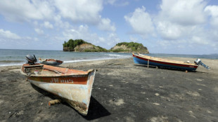 Aux Antilles, la p&ecirc;che mise &agrave; mal par la pollution au chlord&eacute;cone