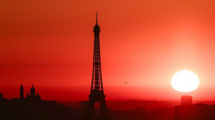 Europe must step up efforts to protect environment: report