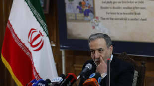 Araghchi, 'nella bozza la fine del blocco navale, accordi su Hormuz'