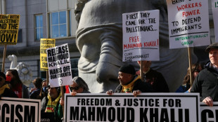 Batallas legales en EEUU por estudiantes propalestinos detenidos