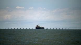 Las sanciones de Trump en Venezuela, incertidumbre y recesi&oacute;n a la vista