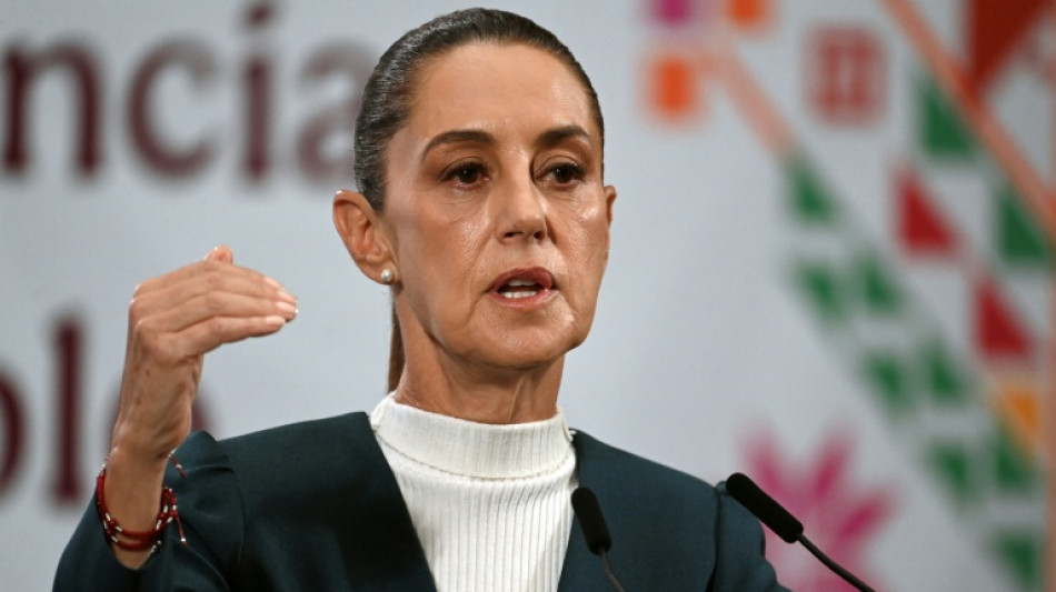 Mexican president hails progress in trade talks with US