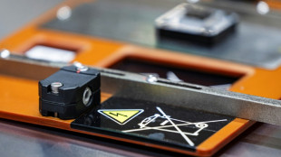 Simbabwe verbietet Ausfuhr von Lithium und anderen Rohstoffen