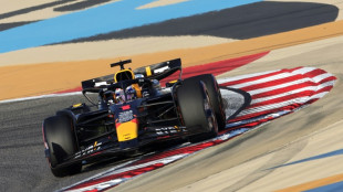 Verstappen on pole in Bahrain in boost to Red Bull and Horner