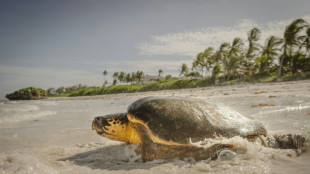 World leaders head to France for UN summit on ocean threats