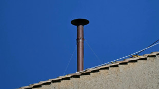 Vatican: la chemin&eacute;e sur la chapelle Sixtine install&eacute;e en vue du conclave