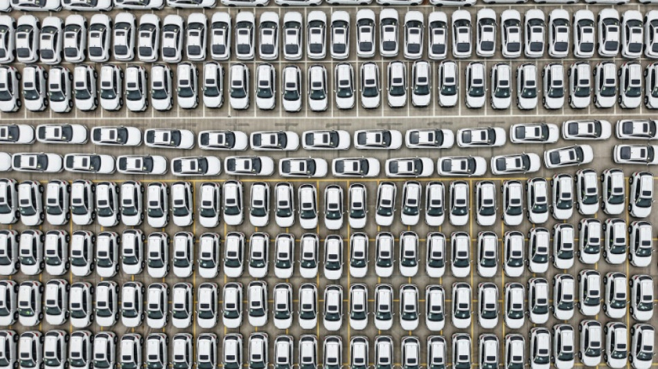 Autoridades chinas intentan frenar la "competencia irracional" en los coches el&eacute;ctricos