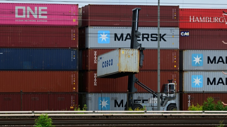 German exports to US plunge as tariffs exact heavy cost