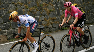 Tour de France: le Belge Remco Evenepoel abandonne lors de la 14e &eacute;tape