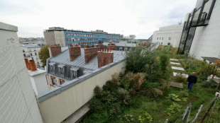Végétalisation, rooftops branchés: Paris à la conquête de ses toits-terrasses