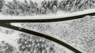 Beim Schneeräumen von Auto erfasst: 86-Jähriger stirbt in Mecklenburg-Vorpommern