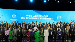 WTO talks risk train wreck finish as deadline looms