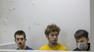 Kenya court fines ant smugglers for 'bio-piracy'