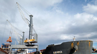 Ex Ilva: nave Gemma scaricher&agrave; 300mila tonnellate materia prima