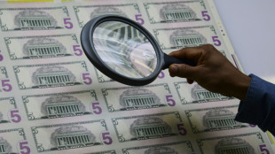 US stocks rise, dollar slides as Trump eyes new Fed boss