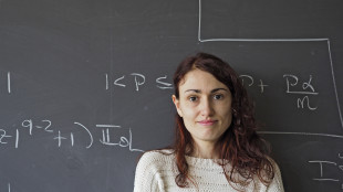 Matematica, riconoscimento mondiale a ricercatrice di Parma